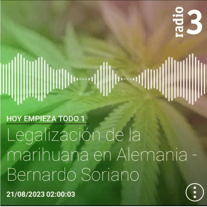 Entrevista con Bernardo Soriano