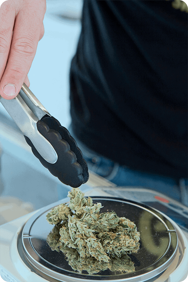 asociaciones cannabicas