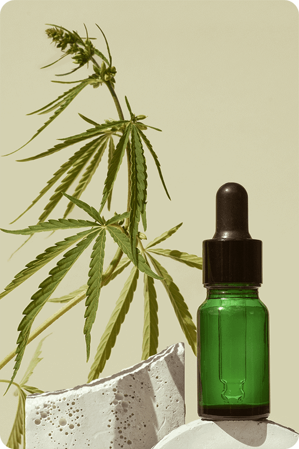 cbd