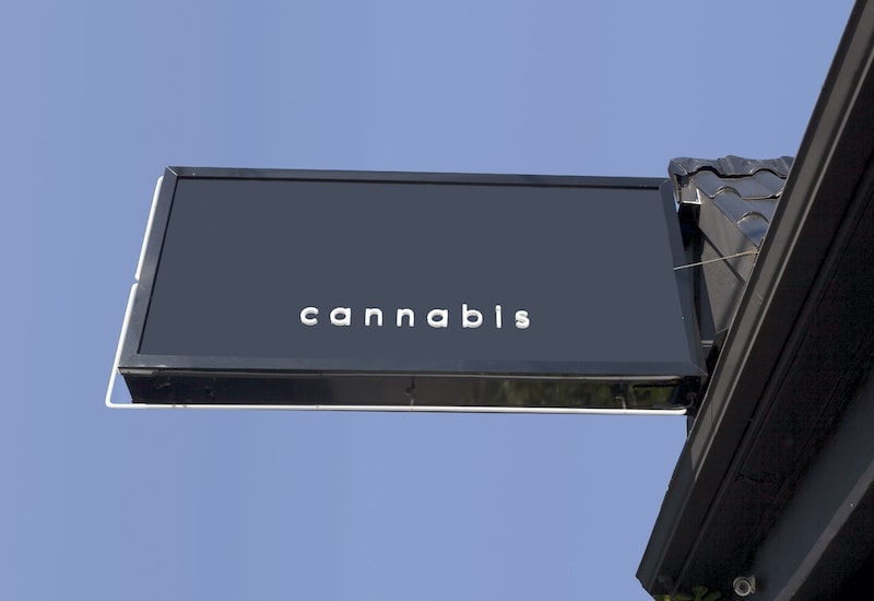 ¿Cómo iniciar un negocio cbd o cannabis?