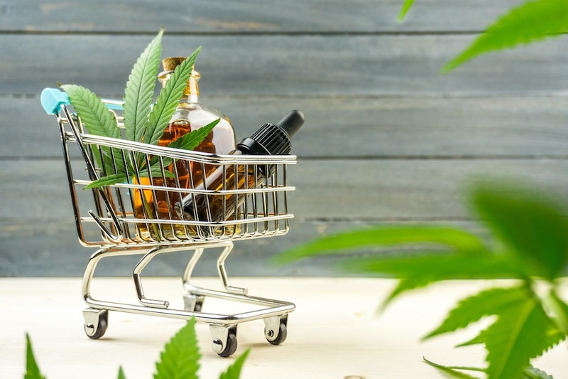 ¿Cómo iniciar un negocio de cannabis?