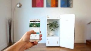 smokapp pro SMOKAPP PRO: EL FUTURO TECNOLÓGICO DE LOS CLUBES SOCIALES DE CANNABIS