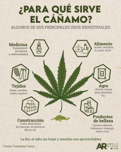 usos canamo